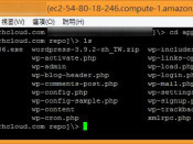 [網站] 筆記：使用 Pietty 對 OpenShift 作SSH連線，輕鬆擁有免費高速 VPS