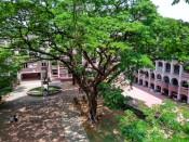 [廢文] 推坑 WordPress ，中央大學高材生 SuBow 的個人網站